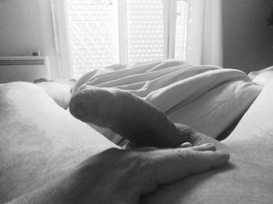 Érection matinale en live