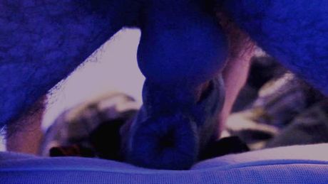 Fucking a...different kind of exotic toy