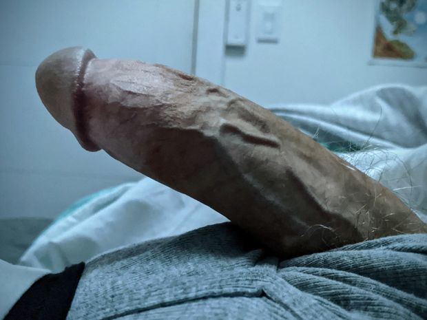 My morning wood.