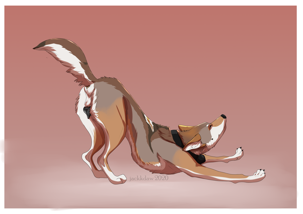 Furry ass