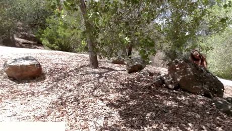 Pocahontas catched and fucked - Vina Sky