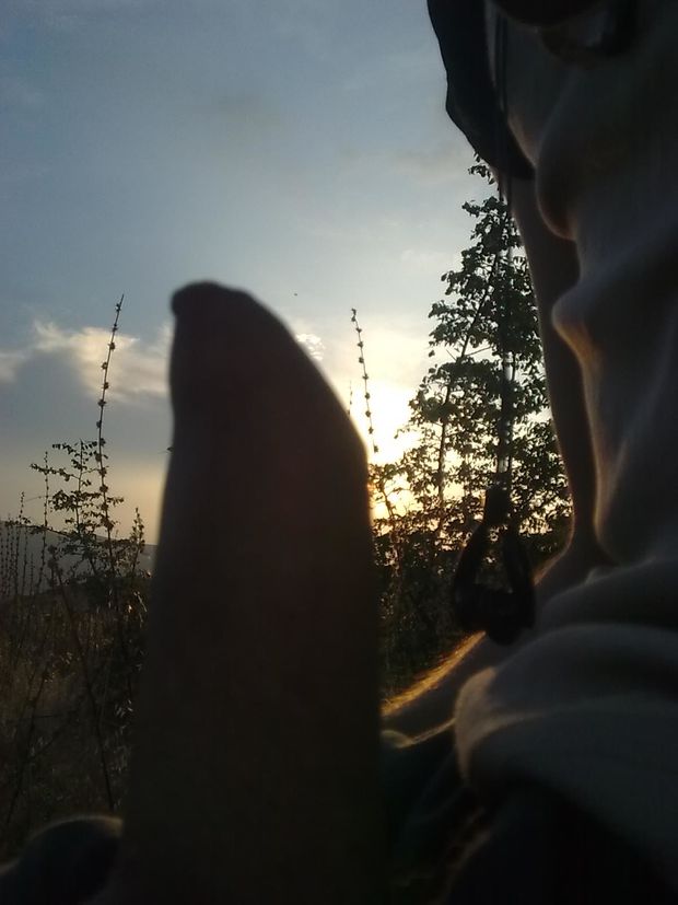 sex