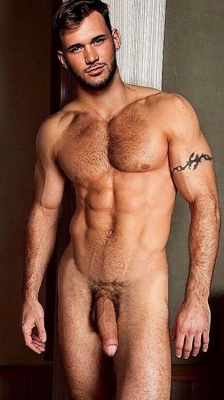 penis