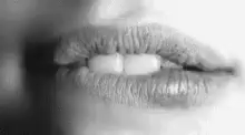 lipbite