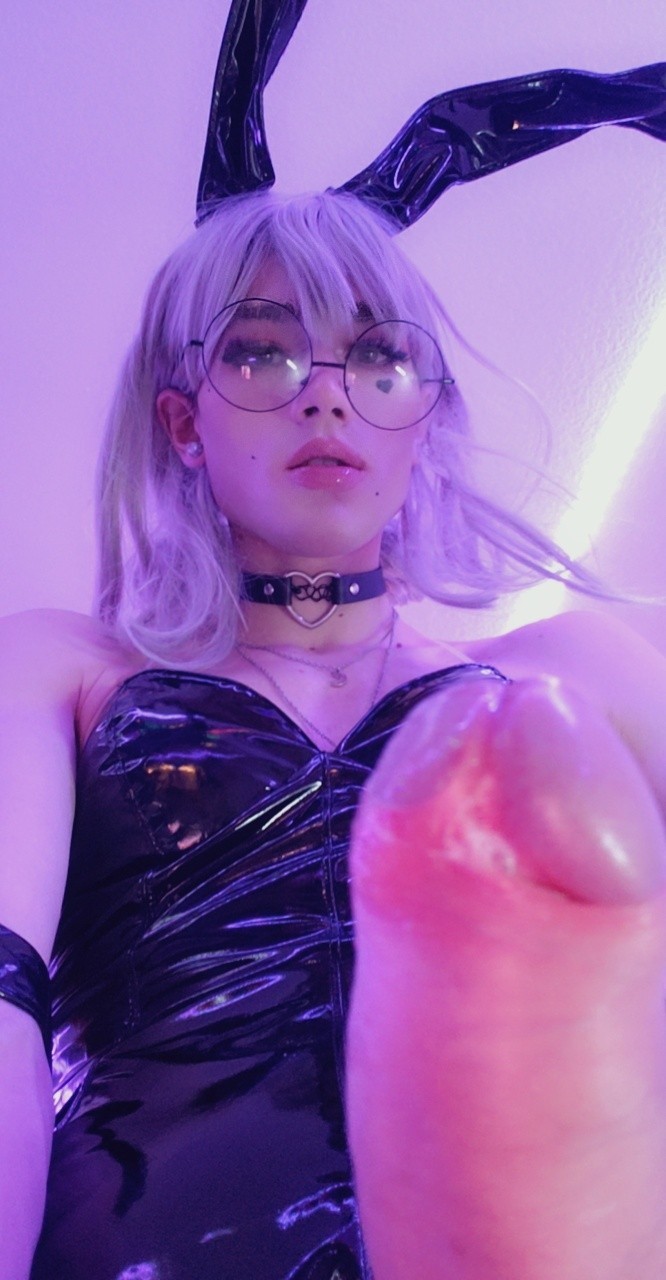 Bunny
