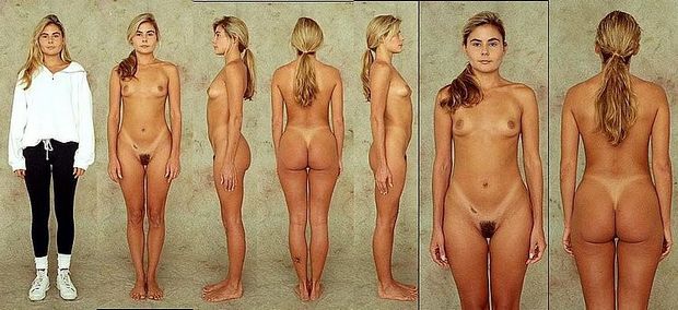 The World Wide Body
