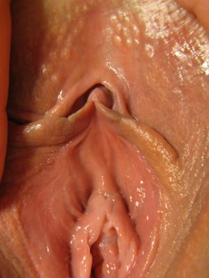Perfect little labia