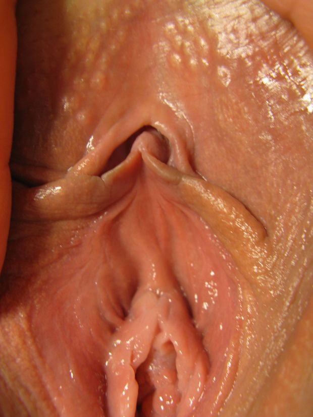 Perfect little labia