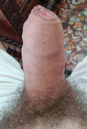 alien2552 Picture