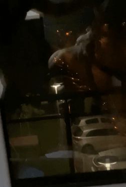 Brunette fucked on the counter