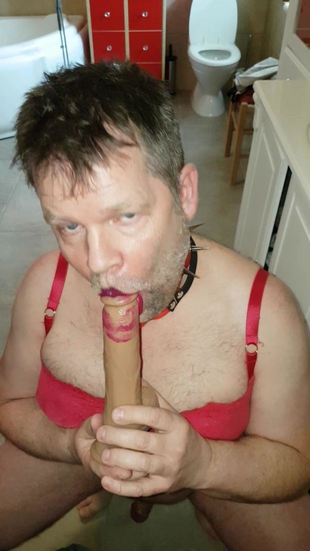 Terje Haugen Queer Pig