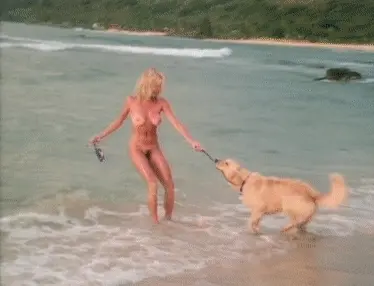 doggie
