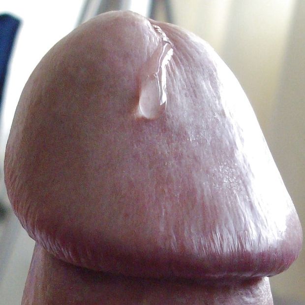 cock
