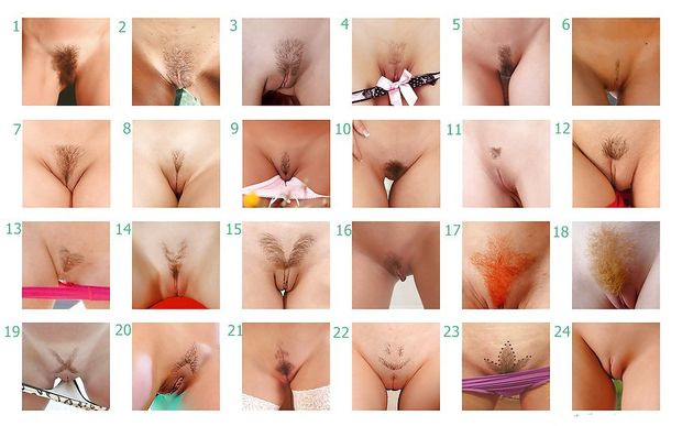 which is your favorite