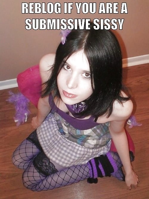 reblog
