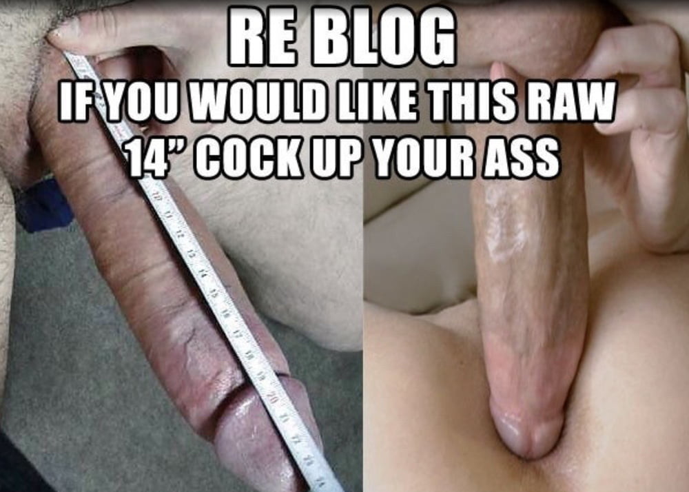 reblog