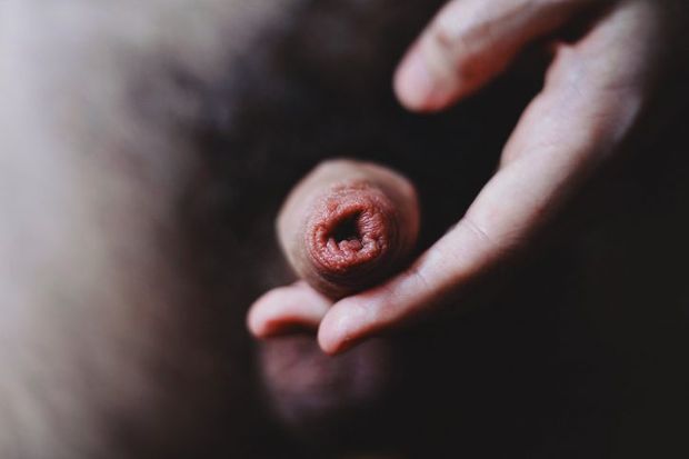 Uncut Cock..