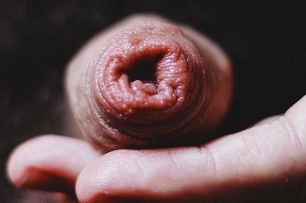 Uncut Cock..