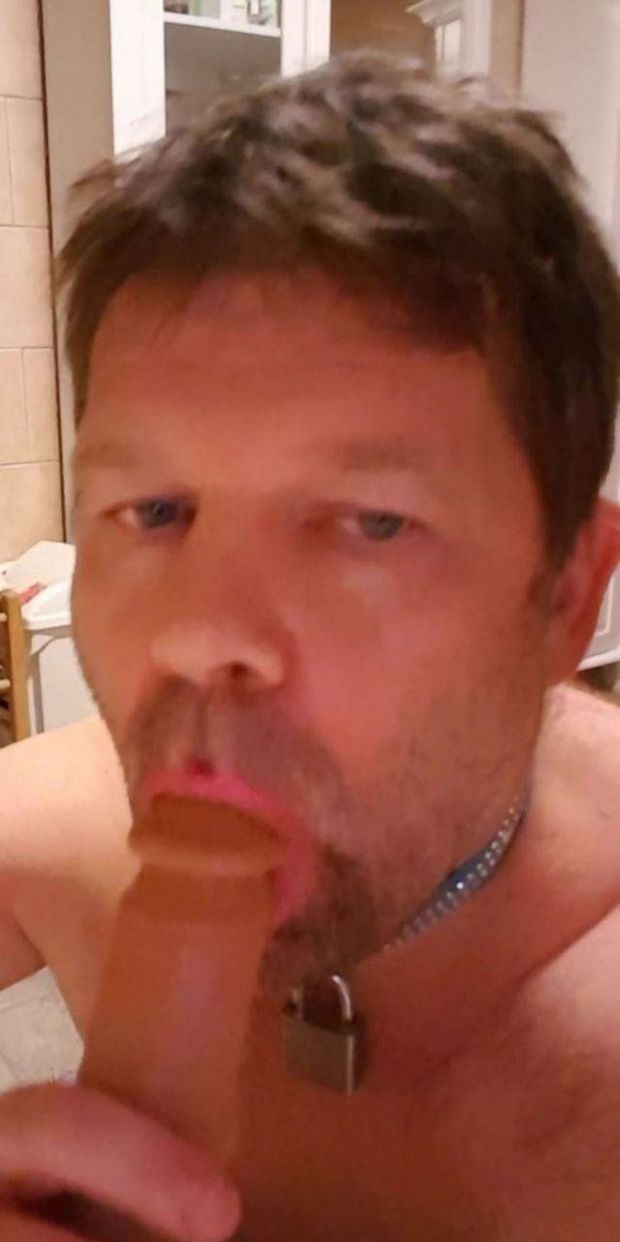 homo exposed