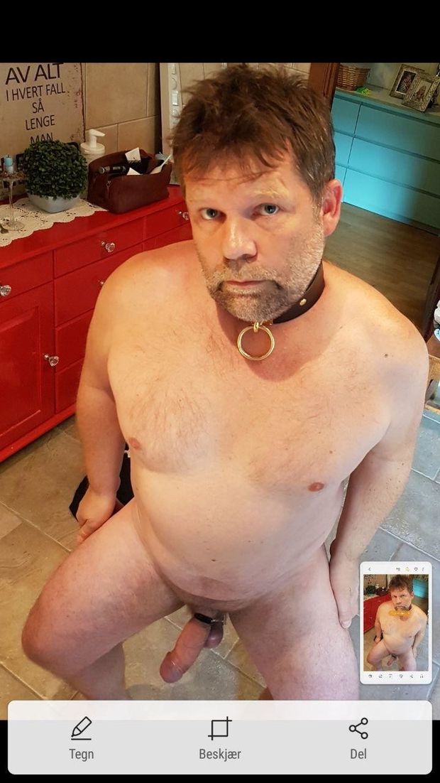 Terje Haugen Queer Pig