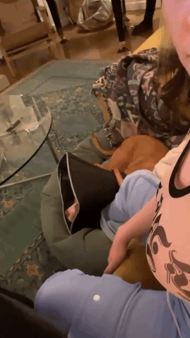 SLAPPING TITS (1)