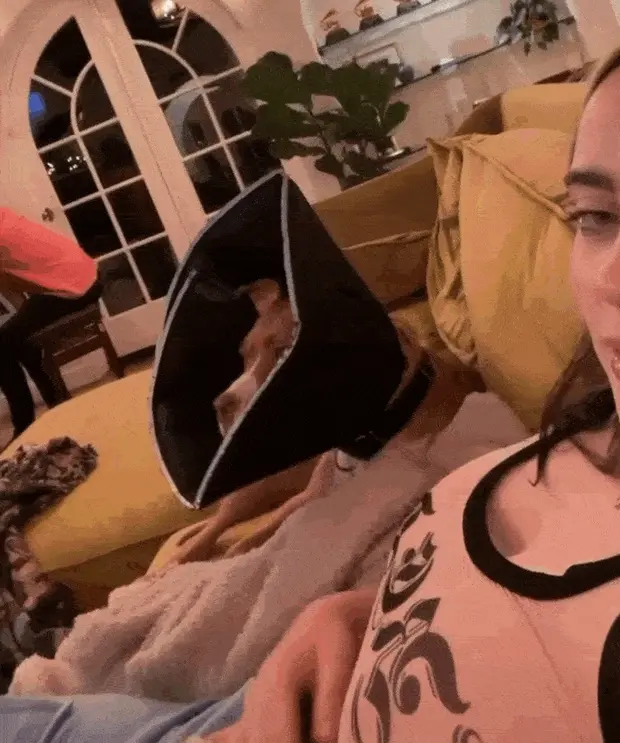 SLAPPING TITS (2)