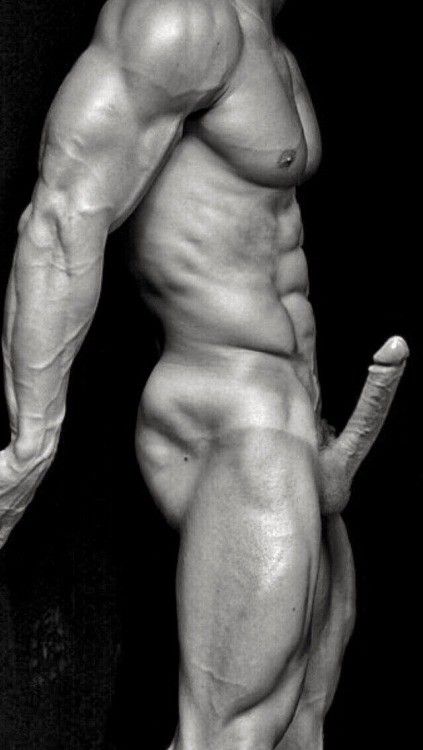The perfect cock