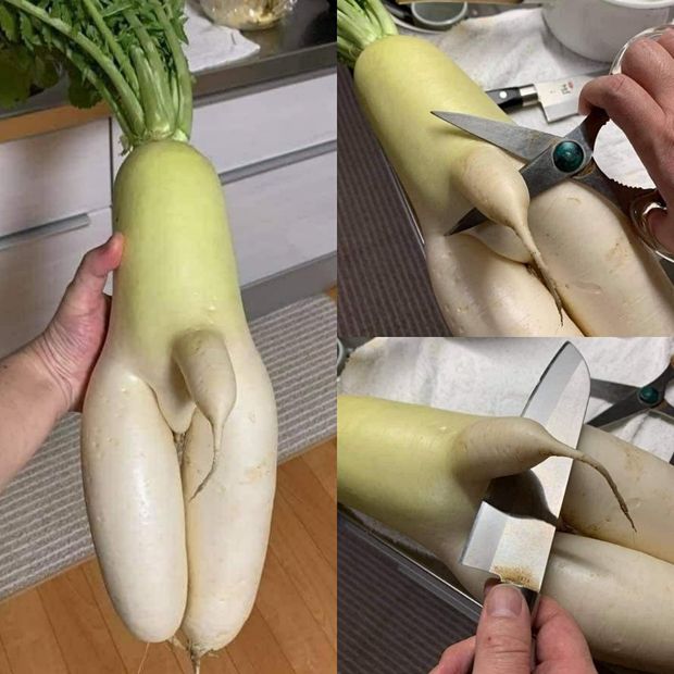 Cut ??