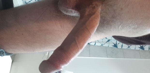 Saturday's cock