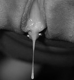 cum dripping from pussy