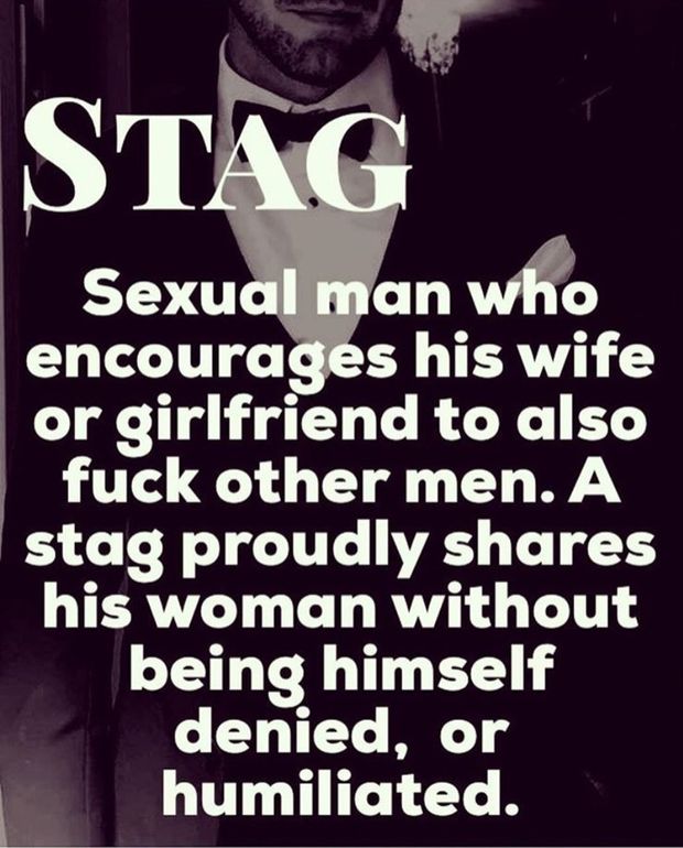 Stag and Vixen