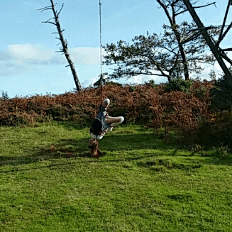 Dangling in the Wind