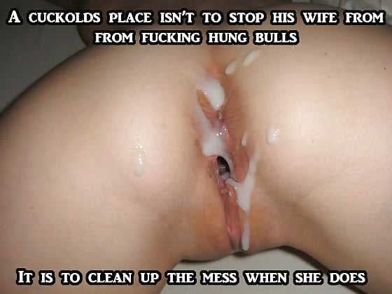 horny dominant wife pussy hole butt cum pussy eat cum clean cuckold