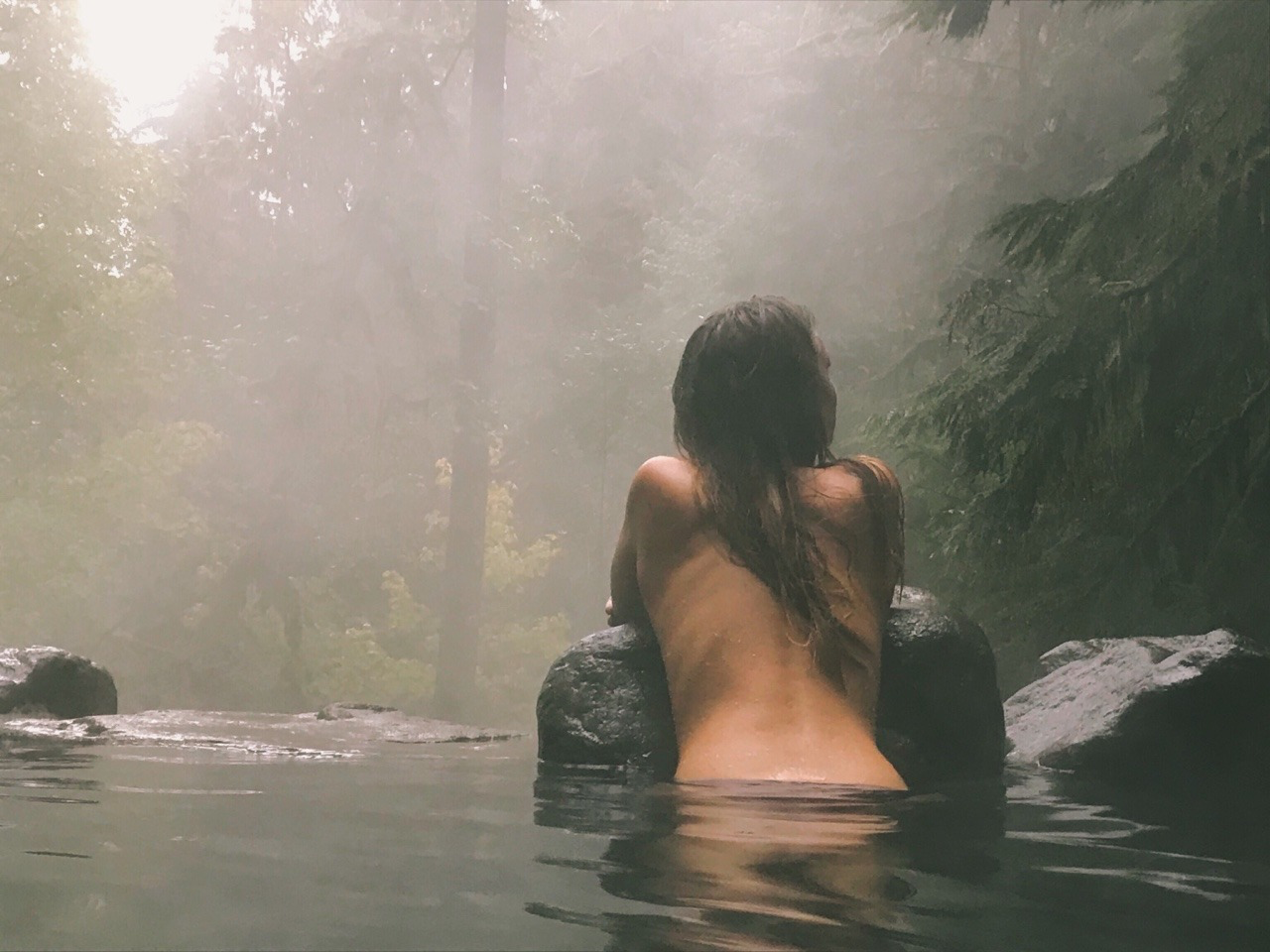 forest mist
