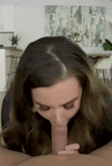 24219035.gif