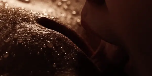 wet pussy