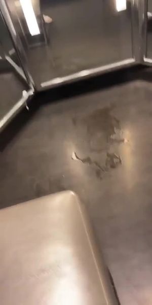 Squirting in the Mall