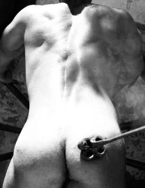 Now You're A Member Of The Herd