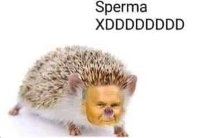 AdolfIXH Picture