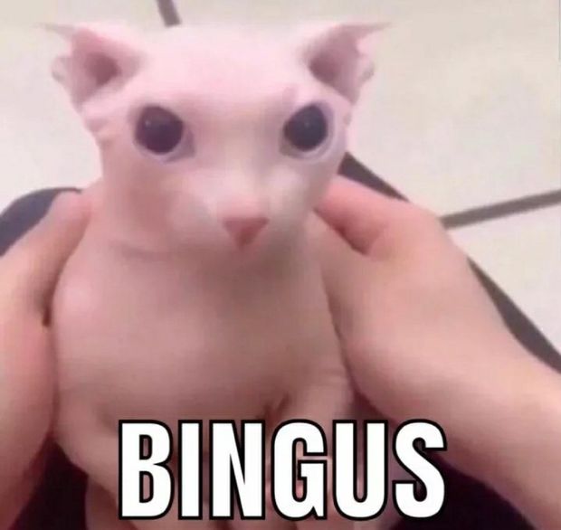 Sexy smooth pussy