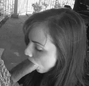 Porno gif pics