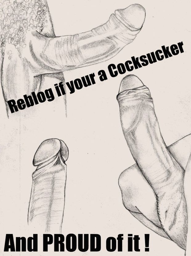 Sissy Cocksucker Proud
