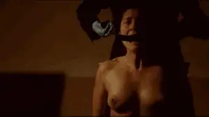 DID 4.