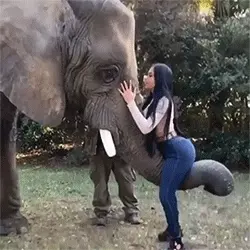 big ass