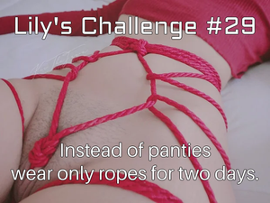 Lily's Challenge #29