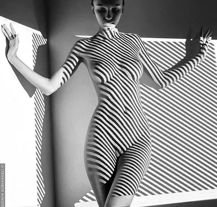 zebra stripes