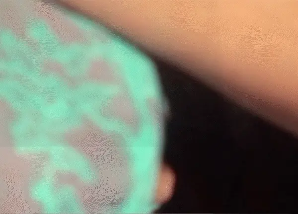 boobs in bra