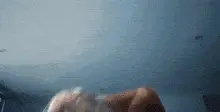 Sabina Gadecki Riding Entourage