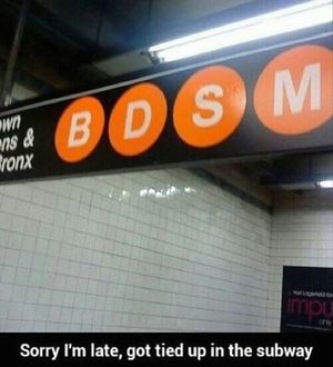 I'll be driving this bus