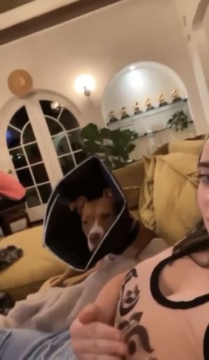 Let me suck them big juicy titties Billie